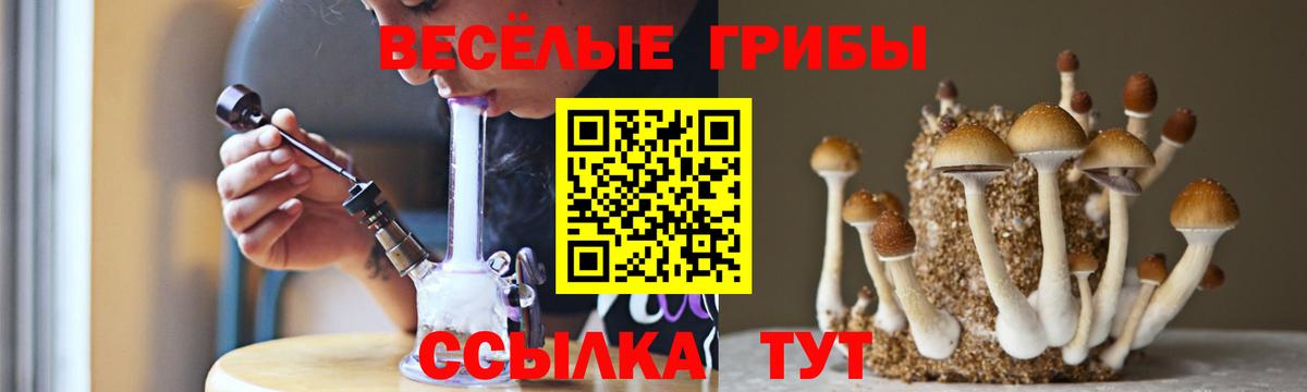 Псилоцибиновые грибы Psilocybine cubensis  Вход с VPN  Хасавюрт 